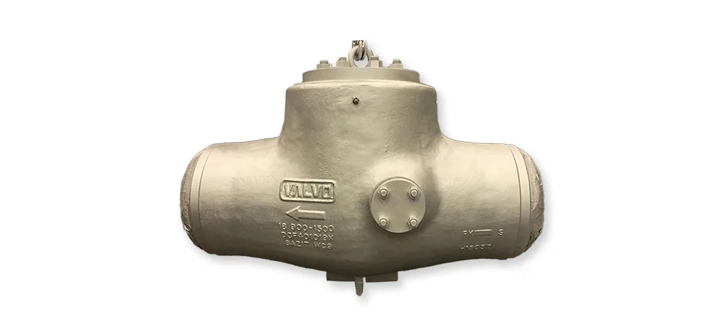 DK-LOK Check Valves
