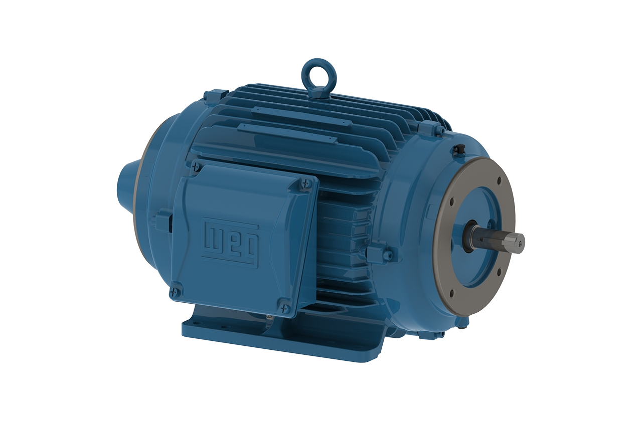 Electric Motor